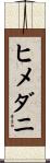ヒメダニ Scroll