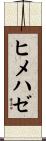 ヒメハゼ Scroll