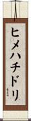 ヒメハチドリ Scroll