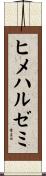 ヒメハルゼミ Scroll
