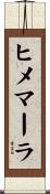 ヒメマーラ Scroll