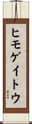 ヒモゲイトウ Scroll