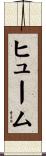 Hume Scroll