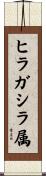 ヒラガシラ属 Scroll