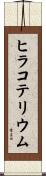 ヒラコテリウム Scroll
