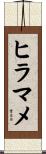 ヒラマメ Scroll