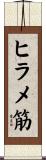 ヒラメ筋 Scroll