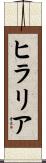 ヒラリア Scroll
