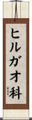 ヒルガオ科 Scroll