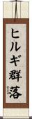 ヒルギ群落 Scroll