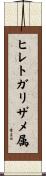 ヒレトガリザメ属 Scroll