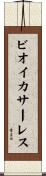 ビオイ・カサーレス Scroll