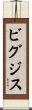 ビグジス Scroll