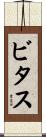 ビタス Scroll