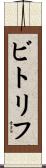 ビトリフ Scroll