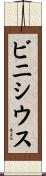 ビニシウス Scroll