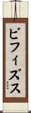ビフィズス Scroll