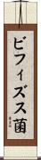 ビフィズス菌 Scroll