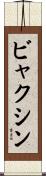 ビャクシン Scroll