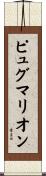 ピュグマリオン Scroll