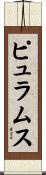 ピュラムス Scroll