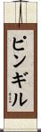 ピンギル Scroll