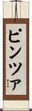 ピンツァ Scroll