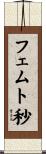 フェムト秒 Scroll