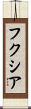 フクシア Scroll