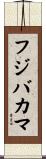 フジバカマ Scroll