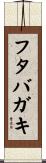 フタバガキ Scroll