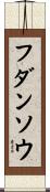 フダンソウ Scroll