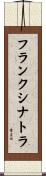 フランクシナトラ Scroll