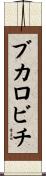 ブカロビチ Scroll