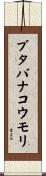 ブタバナコウモリ Scroll