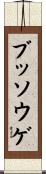 ブッソウゲ Scroll