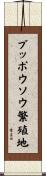ブッポウソウ繁殖地 Scroll