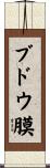 ブドウ膜 Scroll