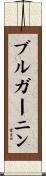 ブルガーニン Scroll