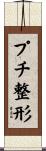 プチ整形 Scroll