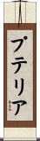 プテリア Scroll