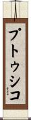 プトゥシコ Scroll