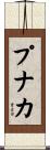 プナカ Scroll