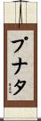 プナタ Scroll