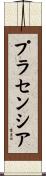 プラセンシア Scroll