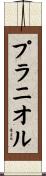 プラニオル Scroll