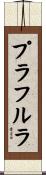 プラフルラ Scroll
