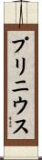 プリニウス Scroll