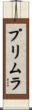 プリムラ Scroll