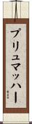 プリュマッハー Scroll